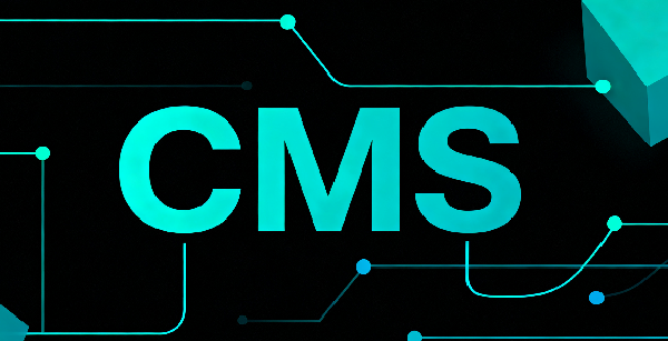 设计 CMS 系统图片 (3).png