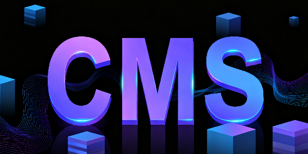 设计 CMS 系统图片 (3).png