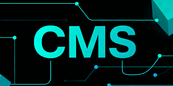 设计 CMS 系统图片 (3).png